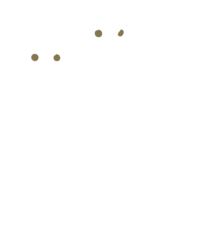 nightowlsound